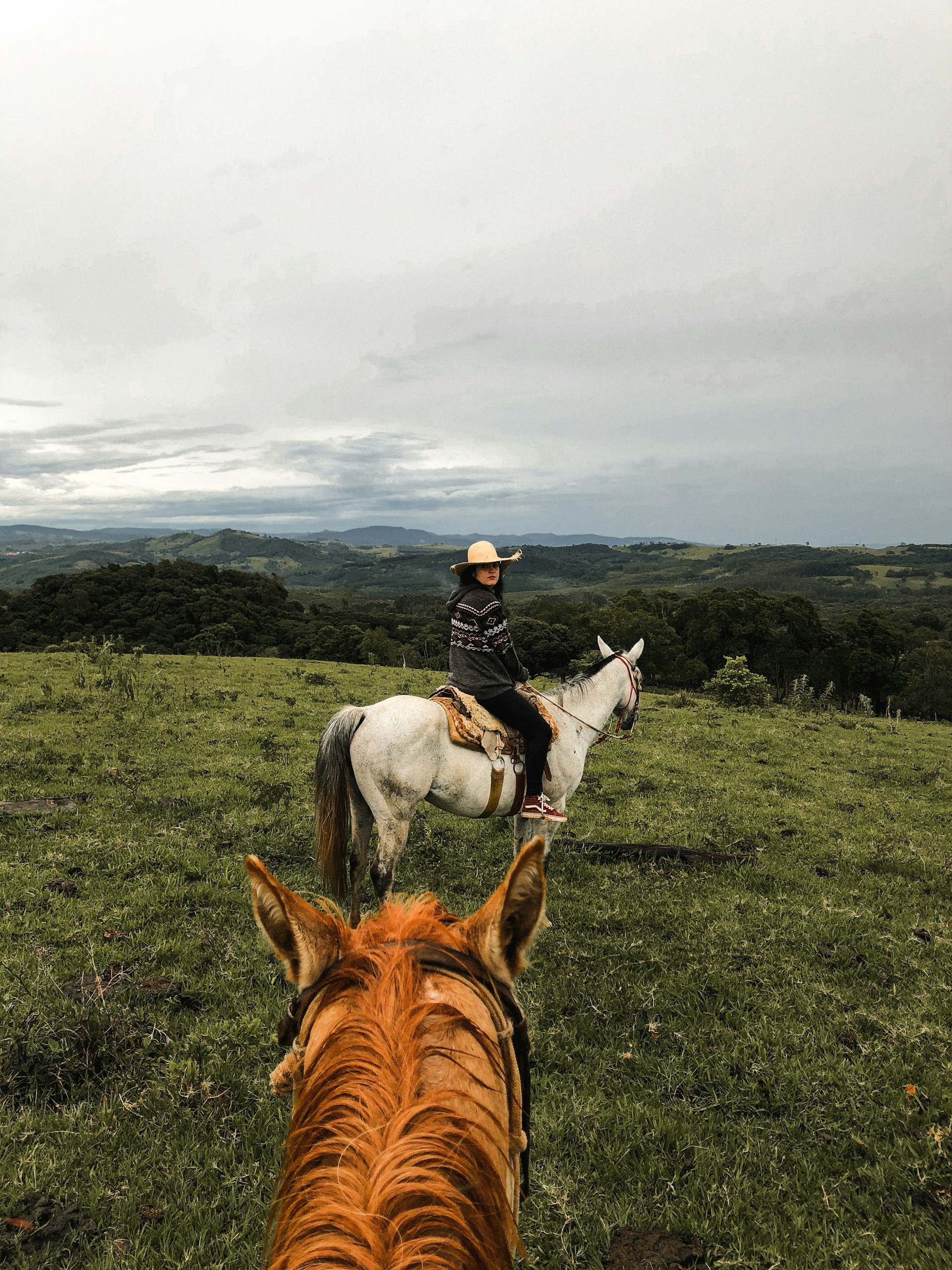 aline-mendes-GwzfH-hC_Z8-unsplash